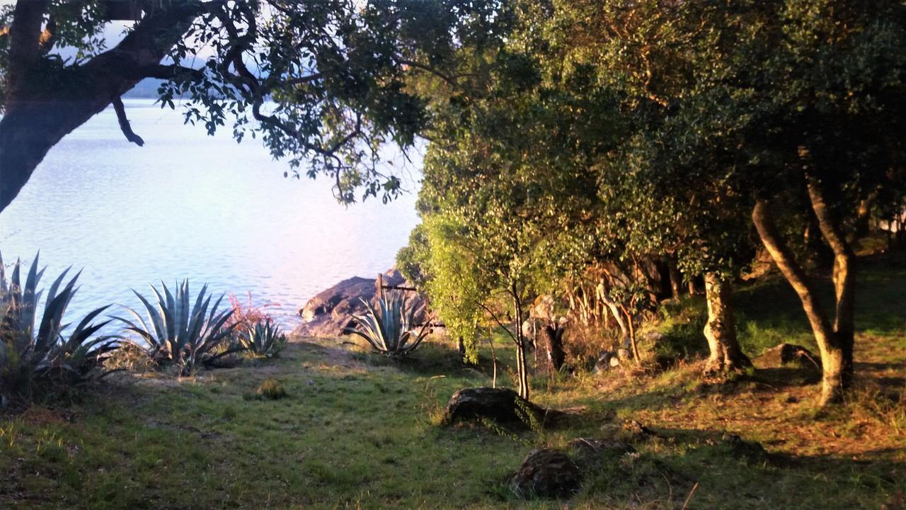Llifenativo *